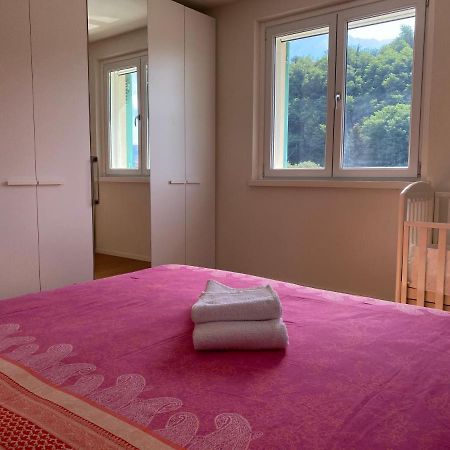 Villa Lena 카마이오레 외부 사진